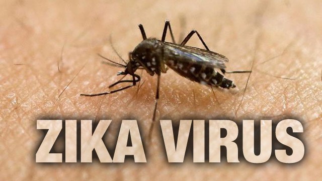 Zika+Virus+Booming+in+South+America