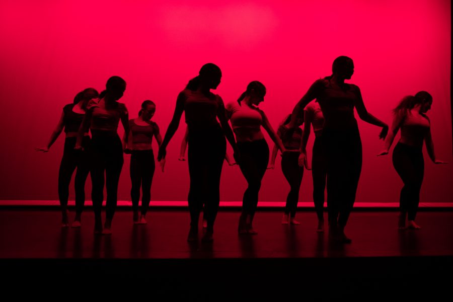 A different kind of dance show: 2019 Israeli dance showcase