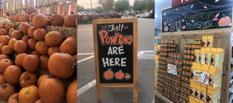 Trader Joes in Chatsworth is decorated for fall with pumpkins, gourds, and chalkboard art
